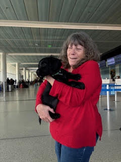 Monica Johnson, Driver, Washington at Door To Door Pet Delivery