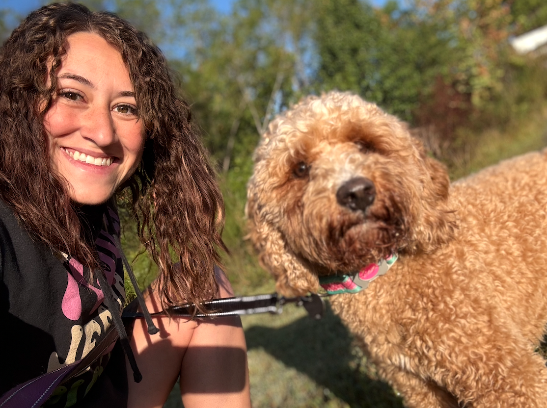 Streamlined Pet Transport Service